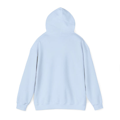 Christian Hoodie By His Stripes I Am Healed Colorful Faith Pullover